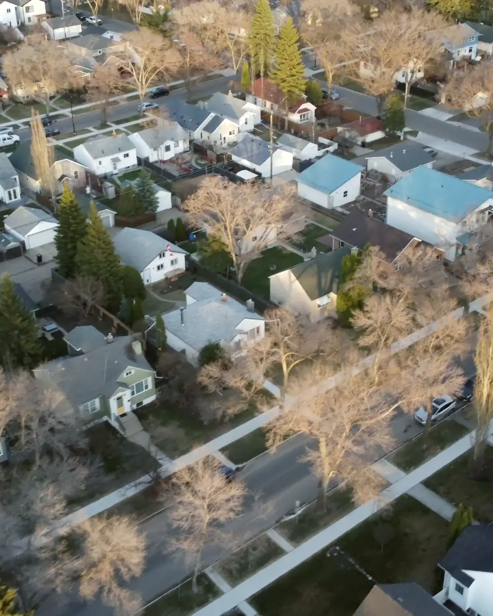 Aerial view of a residential neighborhood with tree-lined streets in late autumn